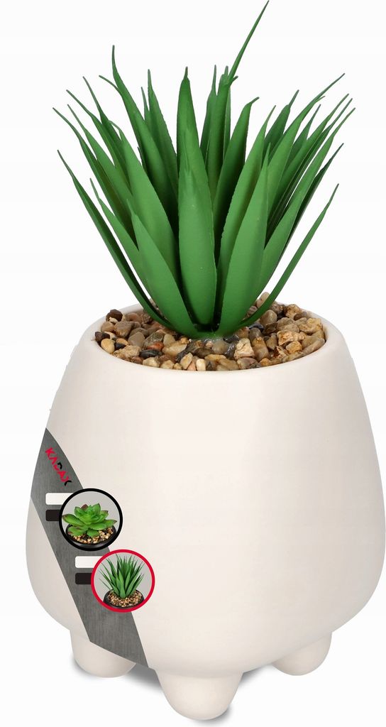 KADAX Sukkulenten "Rouy", kleine Kunstpflanze mit Topf, 1 Stück, Weiß, 10,5 cm