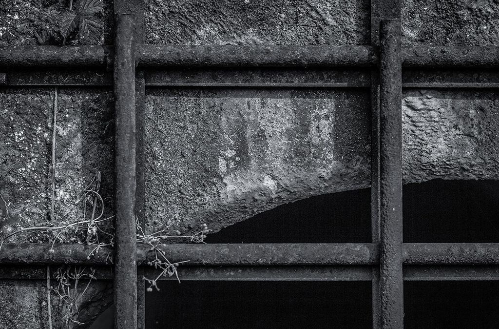 mydays Stadtführung Hamburg; Erlebnis verschenken oder selbst erleben; Gutschein für 1 Person(en)