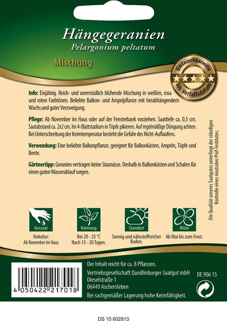 Quedlinburger Saatgut - Hänge-Geranien Mischung - Samen - Produktbild 3