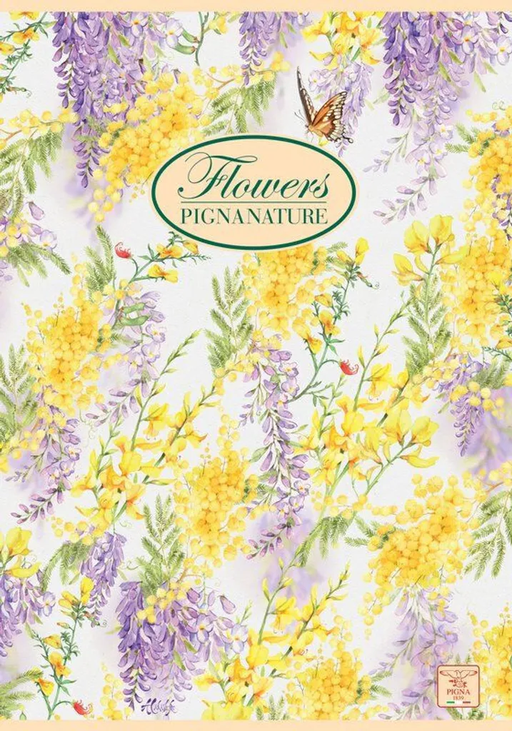Grand Carnet A4 Multicolore Pigna 40 Feuilles avec Papier Haute Qualité - 2