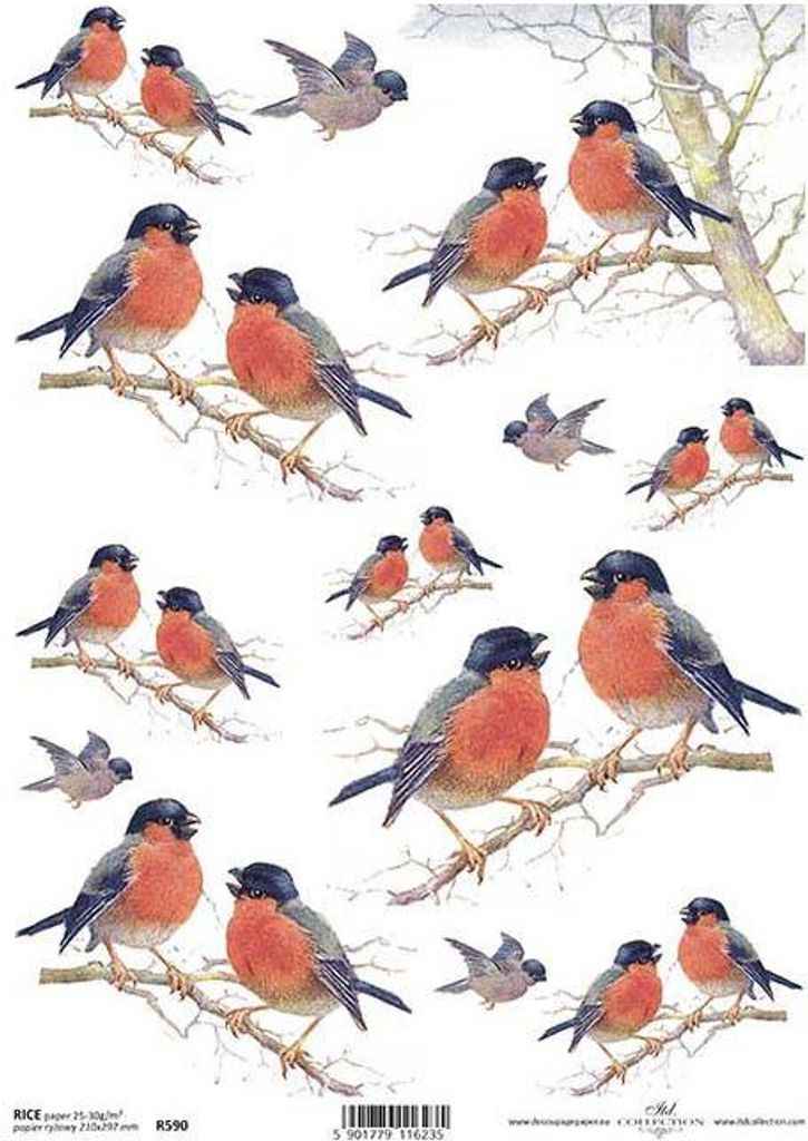 ITD Reispapier Decoupage Bastelpapier, Vögel R0590