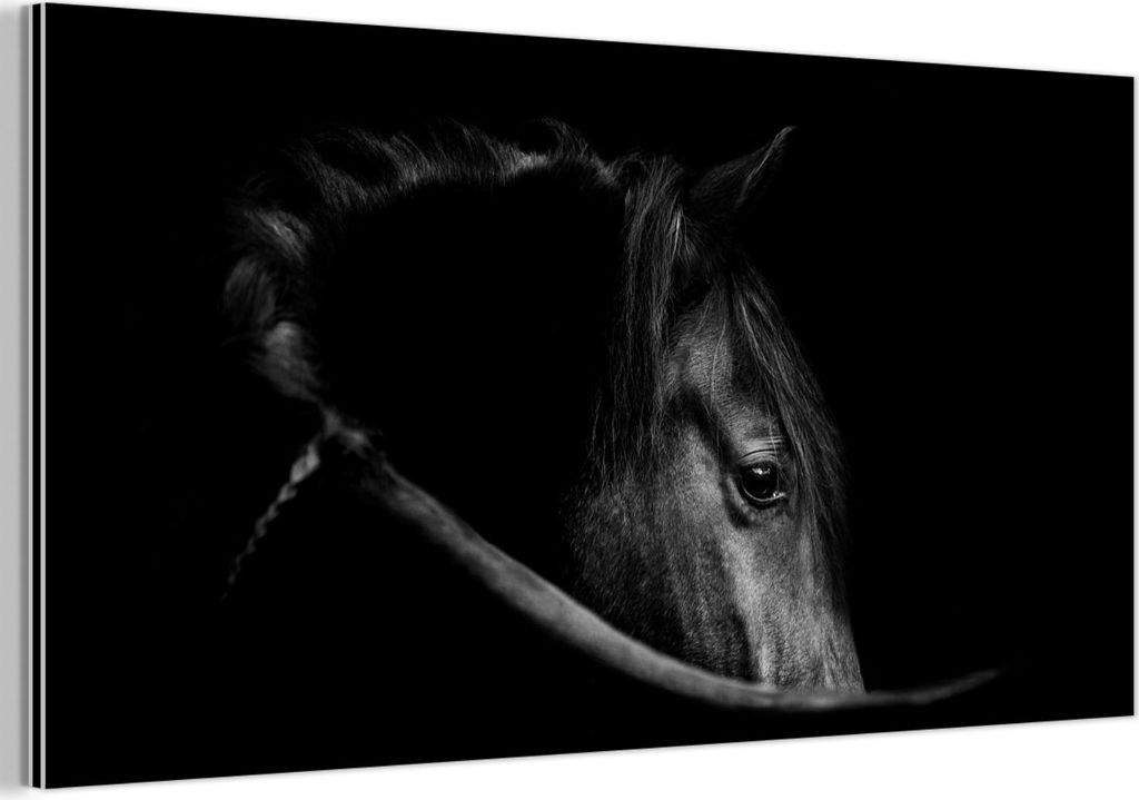 MuchoWow Wanddekoration Metall Metallbild Wandkunst 40x20 cm Pferde - Porträt - Schwarz - Tiere MuchoWow Aluminium Gemälde - Bild - Aluminium