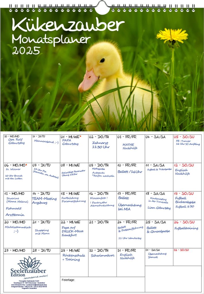 Kükenzauber Planer DIN A3 Kalender für 2025 Küken - Seelenzauber