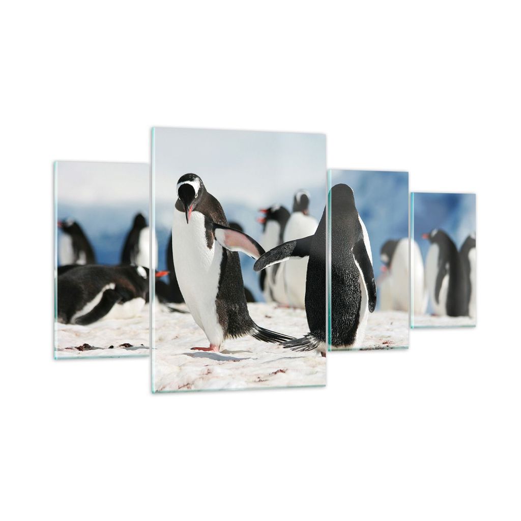 Bilder auf glas - Pinguine Winter Natur Schnee - 160x90cm - Glasbilder - Wandbilder - Kunstdruck - zum Aufhängen bereit - Wanddekoration aus Glas ...