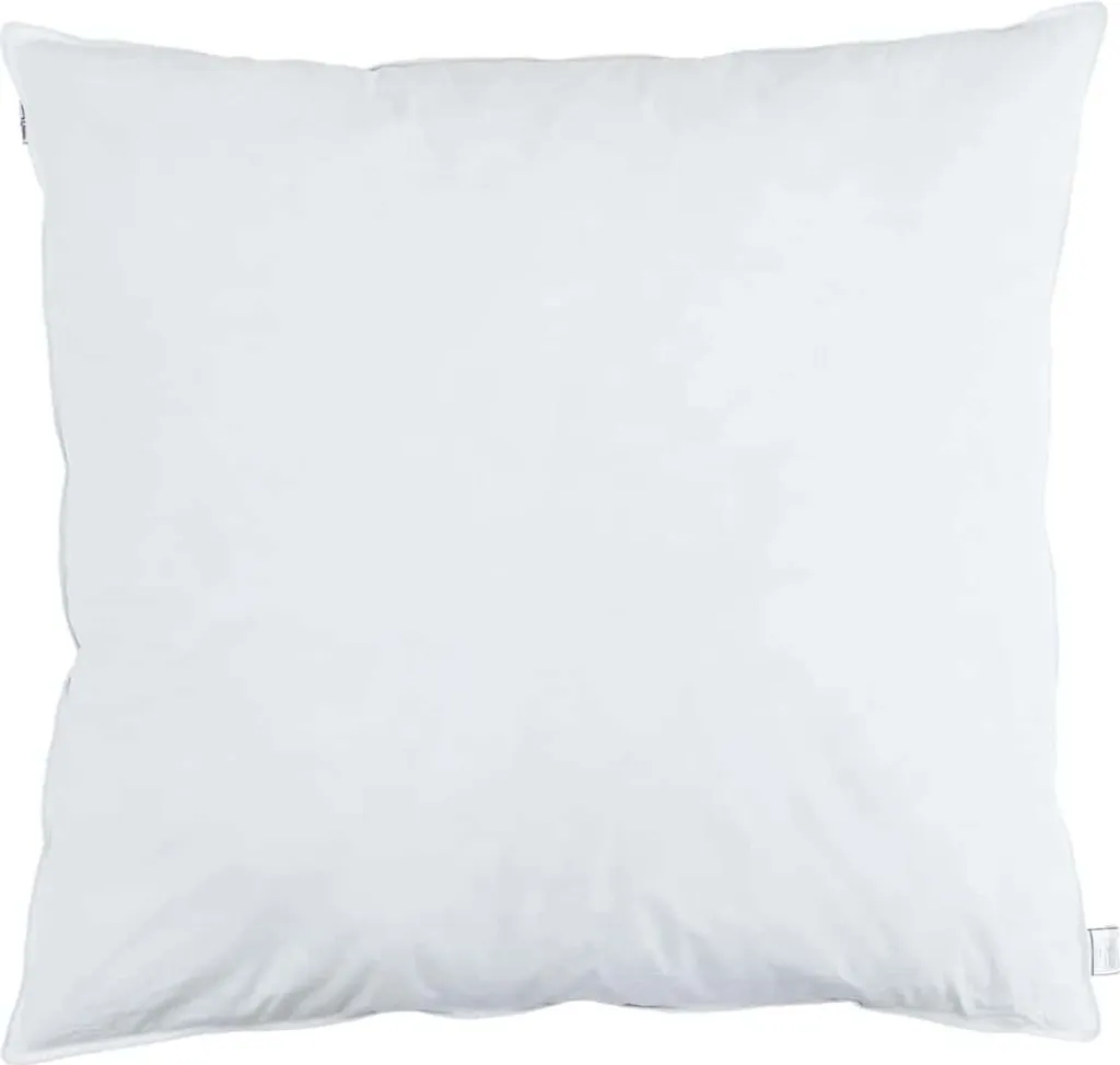 Lot de 2 Oreillers Carrés 65x65 cm Garnissage Plumes Coloris Blanc Pur