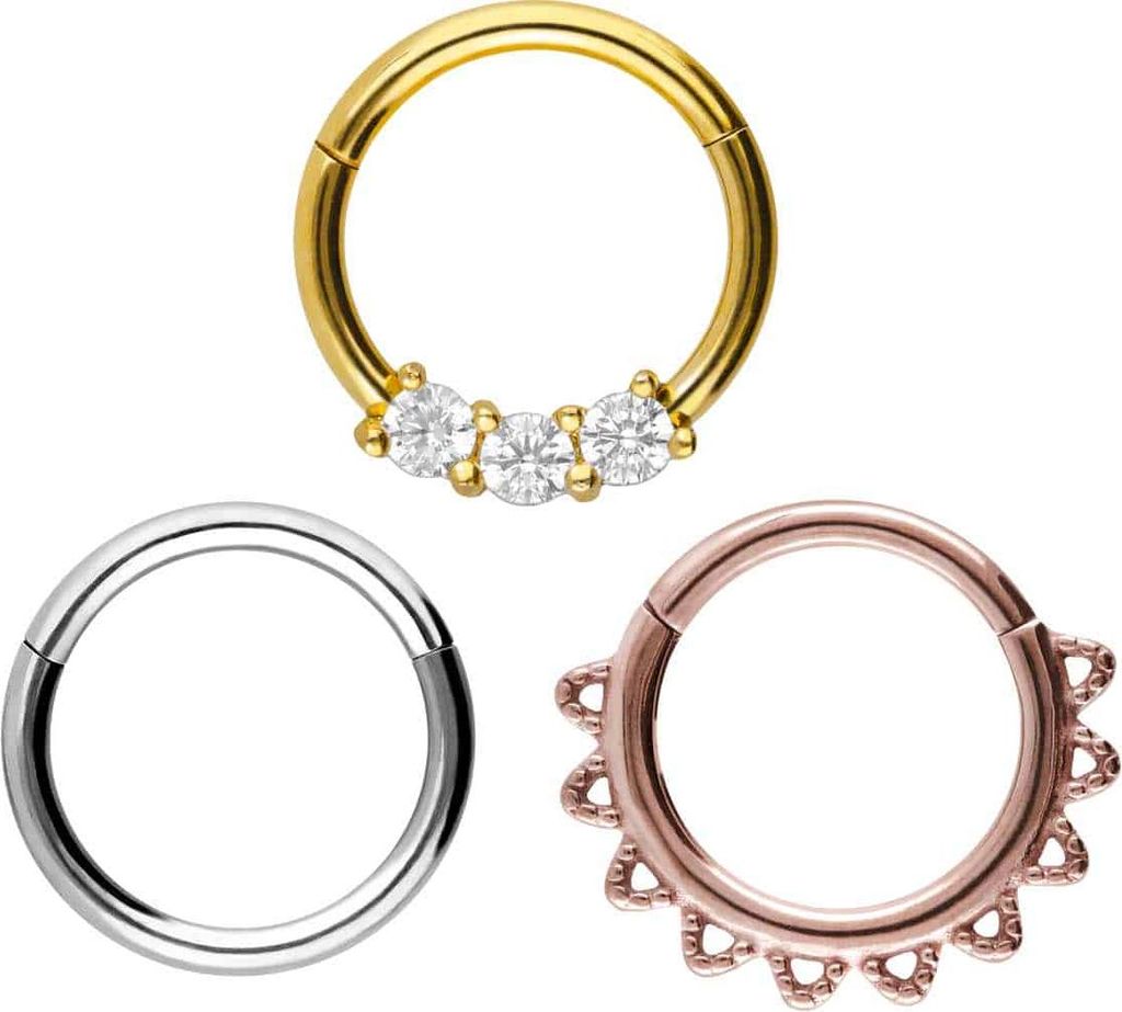 Ohrpiercing, Nasenpiercing, Septum Piercing SET Chirurgenstahl Segmentring Clicker MIX