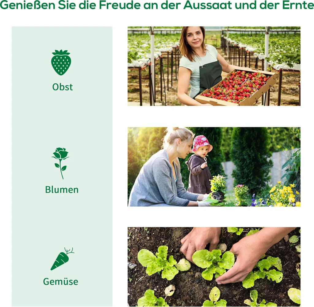Serre à tomates étanche au vent 3x2m avec structure en acier galvanisé