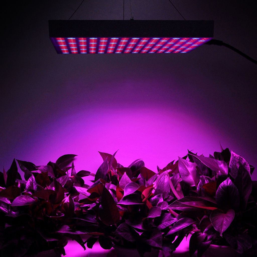 LED Pflanzenlampe Vollspektrum Garden Pflanzenlicht Gewächshaus Wachstum Balkon 