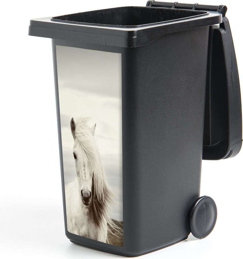 MuchoWow Mülltonnenaufkleber Pferd - Strand - Mähne 44x98 cm - Containeraufkleber - Aufkleber - Mülltonnen-Aufkleber