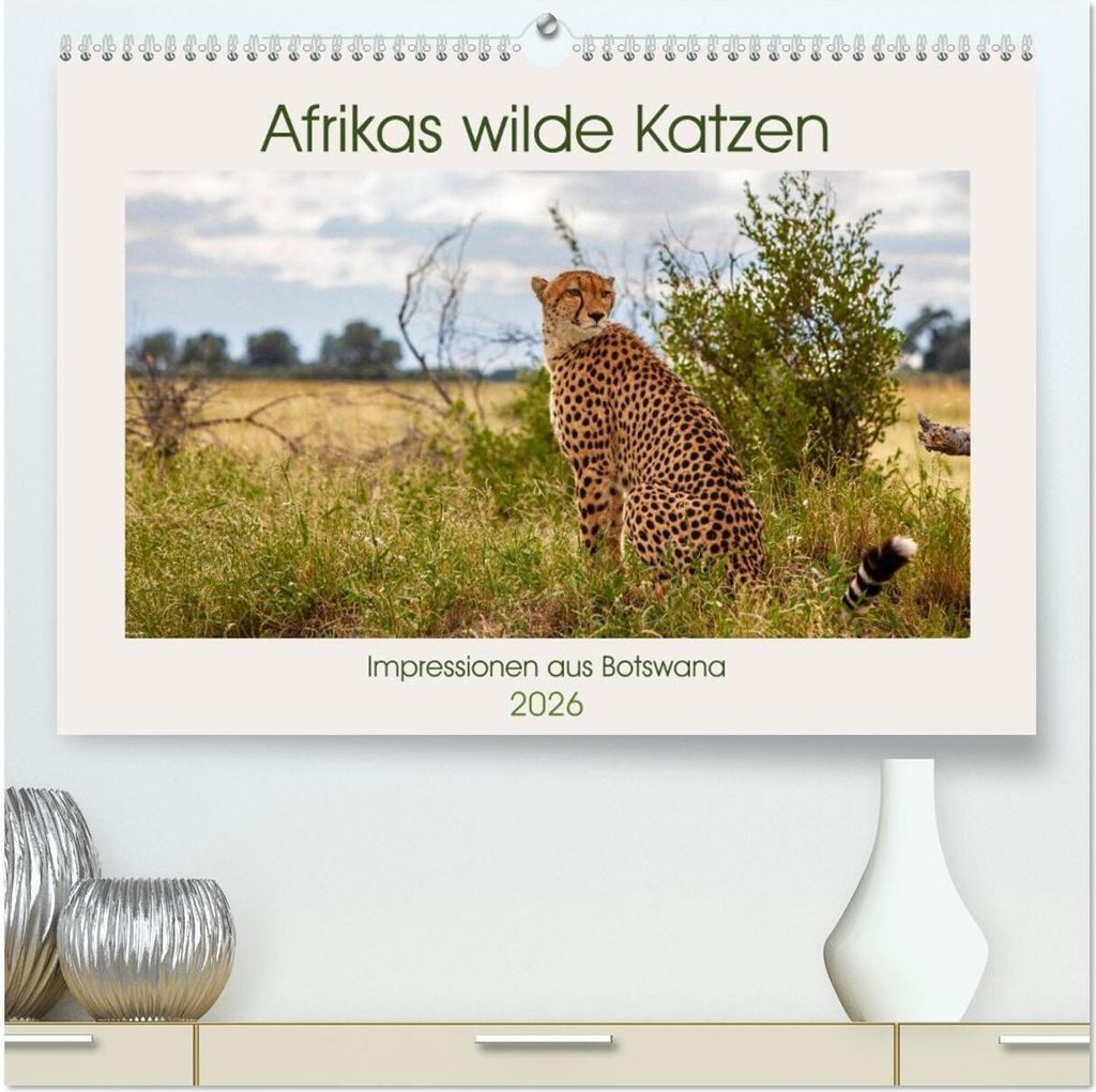 Afrikas wilde Katzen (hochwertiger Premium Wandkalender 2026 DIN A2 quer), Kunstdruck in Hochglanz