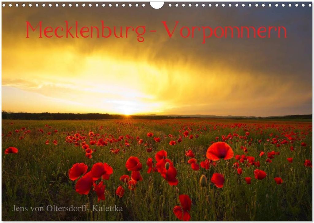 Mecklenburg - Vorpommern (Wandkalender 2026 DIN A3 quer), CALVENDO Monatskalender