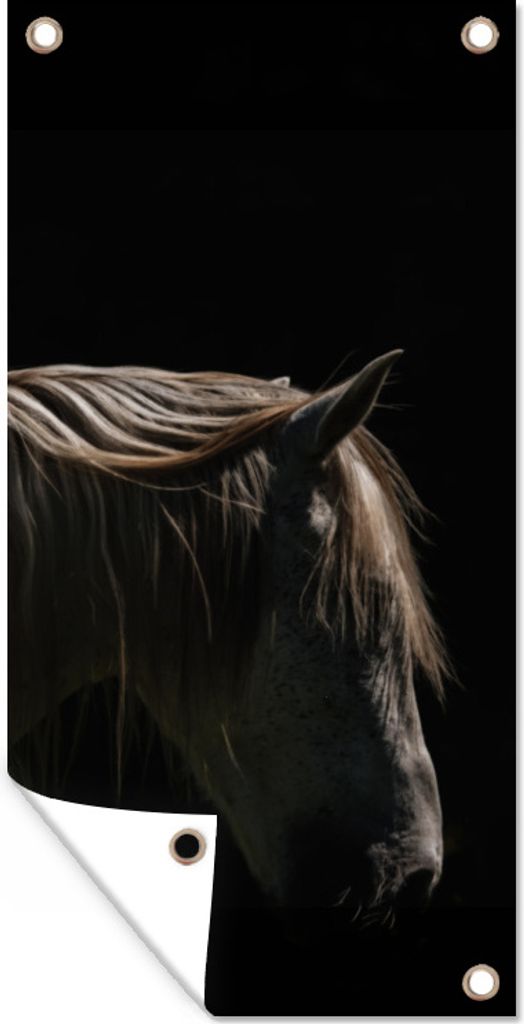 MuchoWow 40x80 cm Outdoor-Poster Gartendeko Sichtschutz Garten Poster für den Garten Pferd - Tiere - Weiß