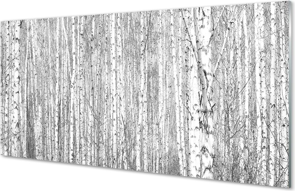 Spritzschutz 100x50 Wandkunst Schwarz-Weiß-Baum Wald
