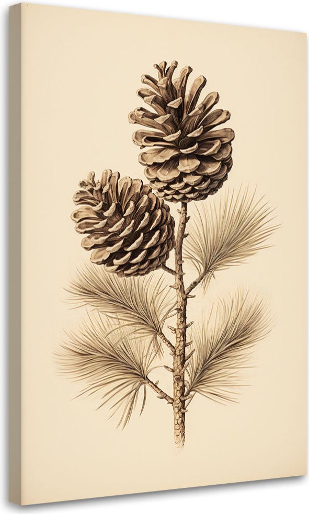 Leinwandbild Zapfen 40x60 Feeby Beige bild für die wand bereit zum aufhängen