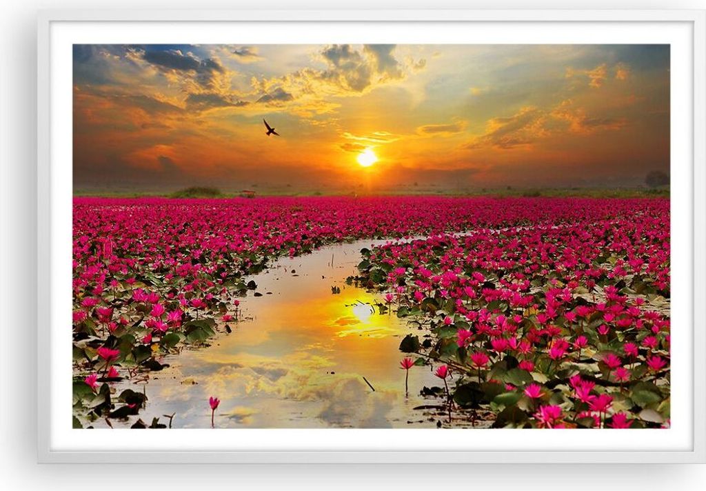 Gerahmtes Poster - Weißer Rahmen - See Blumen - 91,5x61 cm - Wand Bild - Wanddeko - Wandbilder - Kunstposter - Wandposter - Bilderrahmen - Bilder ...