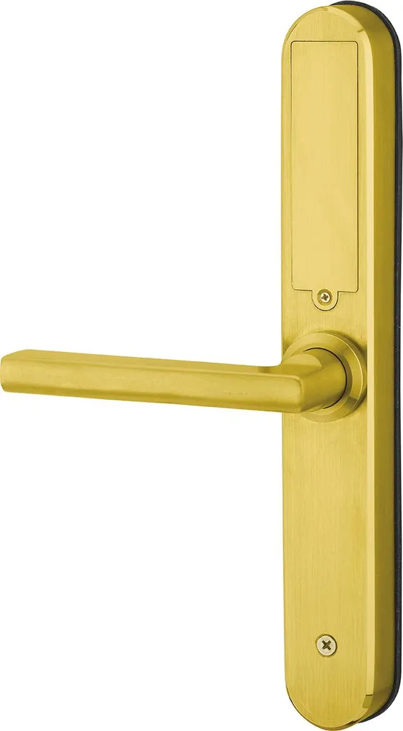 Solution accès connecté pour hôtel Intelock Room doré porte intérieure - 2