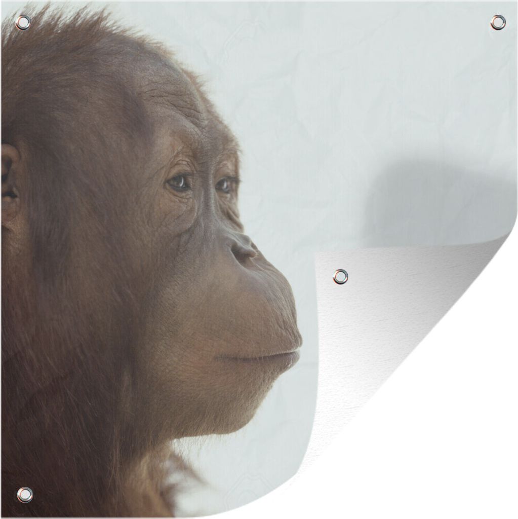 MuchoWow 50x50 cm Outdoor-Poster Gartendeko Sichtschutz Garten Poster für den Garten Der denkende Orang-Utan