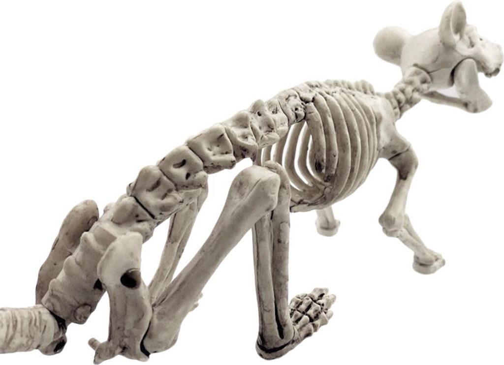 Halloween-Tier-Skelett-Knochen, Horror-Simulation, Party-Dekoration