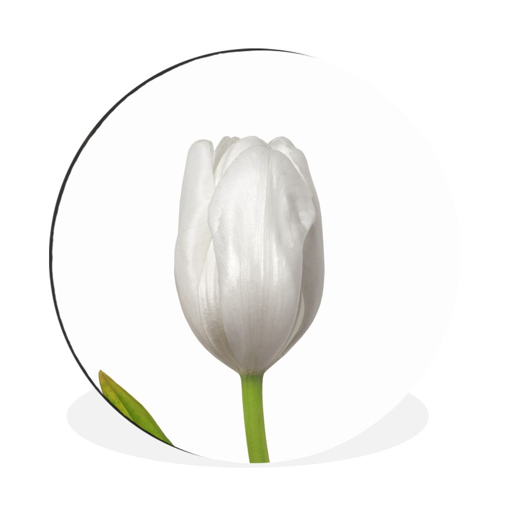 MuchoWow Aluminium Wandkreis Nahaufnahme der Blätter einer weißen Tulpe Ø 30 cm Wanddeko Modern Wohnzimmer - Wand Bild - Wohnzimmer - Runde Bi...