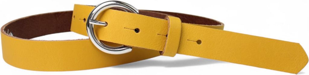 FRONHOFER Damen Ledergürtel 2,5 cm mit silberner runder Gürtelschnalle, echt Leder