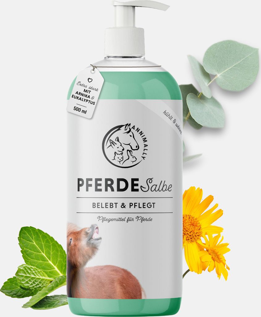 Pferdesalbe 500 ml - wärmend & kühlend - Regeneration von Sehnen & Gelenken