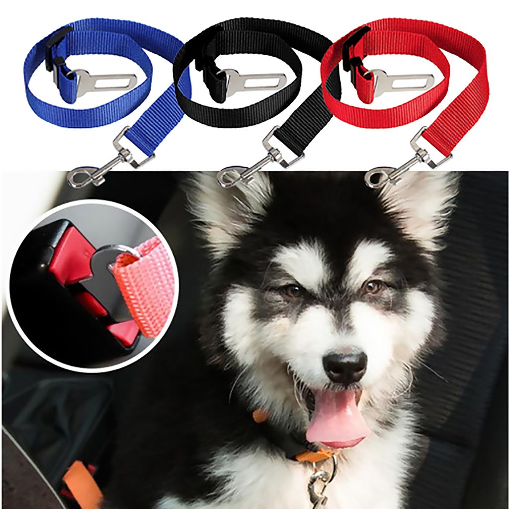 2x Hunde-Gurt Auto Sicherheitsgurt elastisch Anschnallgurt