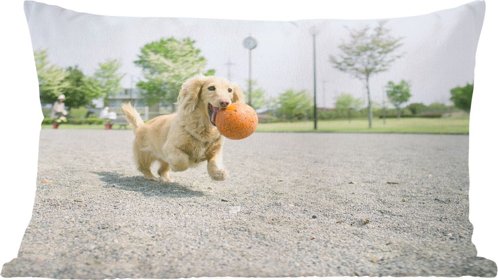 MuchoWow Zierkissen Sofakissen Wohnzimmer Dekokissen 50x30 cm Ein weißer Dackel spielt mit einem Ball - Wohnzimmerdekoration - Polster mit Photo