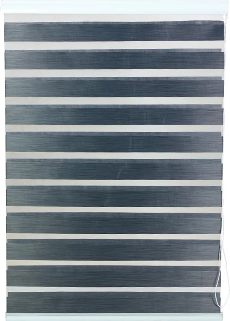 Store Enrouleur Jour Nuit 100x150 cm Gris pour Fenêtre de Chambre