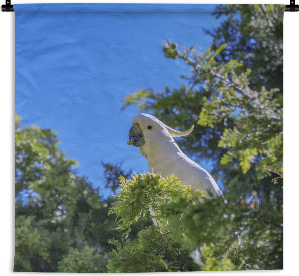 MuchoWow Wandteppich Wandbehang Weißer Kakadu in einem grünen Baum 150x150 cm Tapisserie Dekoration Wandtuch - Wohnaccessoires - Modernes
