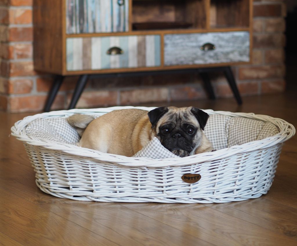 Weiß gebleichter Weidenkorb für Hunde Wikikorb mit Baumwoll-Hundebett – Beige mit Karo – DOTTY