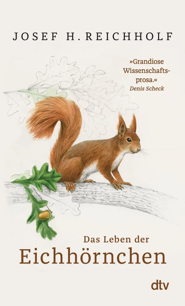 Das Leben der Eichhörnchen : Album illustré avec photos haute résolution