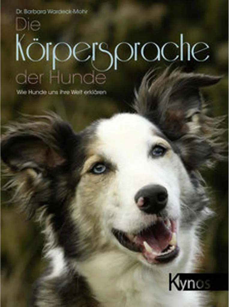 Die Körpersprache der Hunde : évitez les morsures et le stress canin
