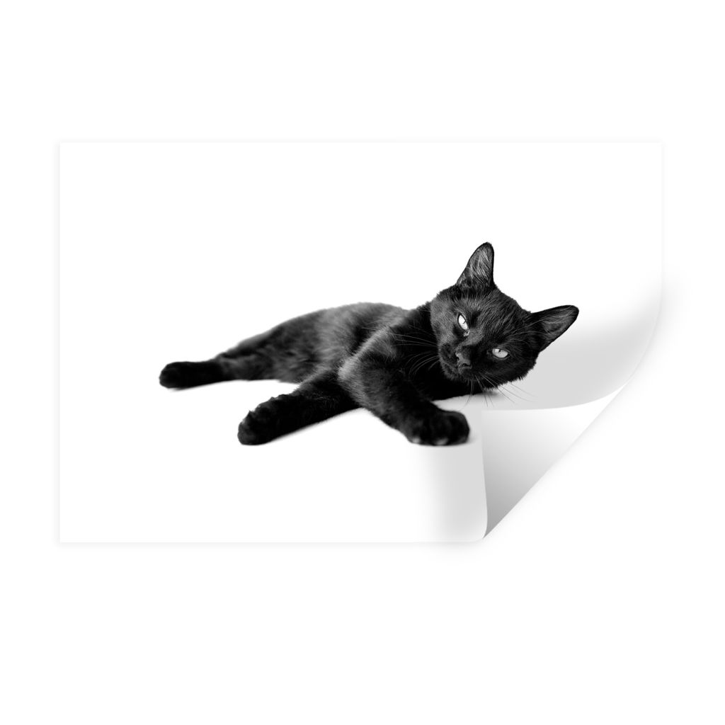MuchoWow Wandtattoo Wandsticker Wandaufkleber Liegende schwarze Katze - schwarz und weiß 120x80 cm Selbstklebend und Repositionierbar - Selbstkl...