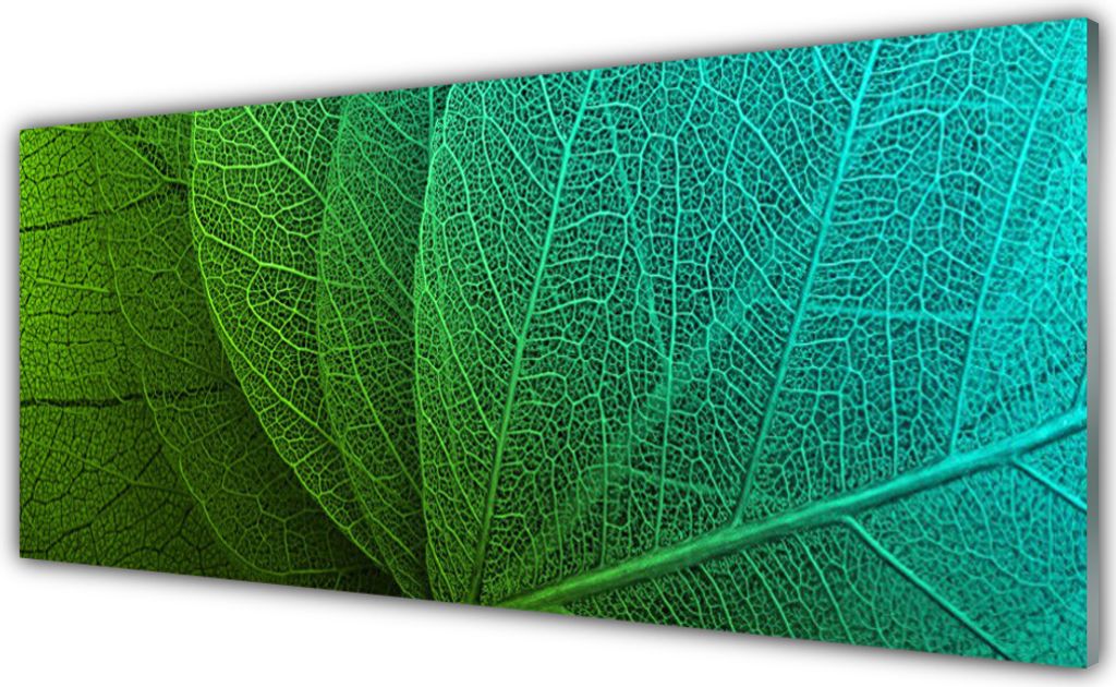 Glasbilder 125x50 Wandbild Druck auf Glas Abstrakte Blätter Pflanzen