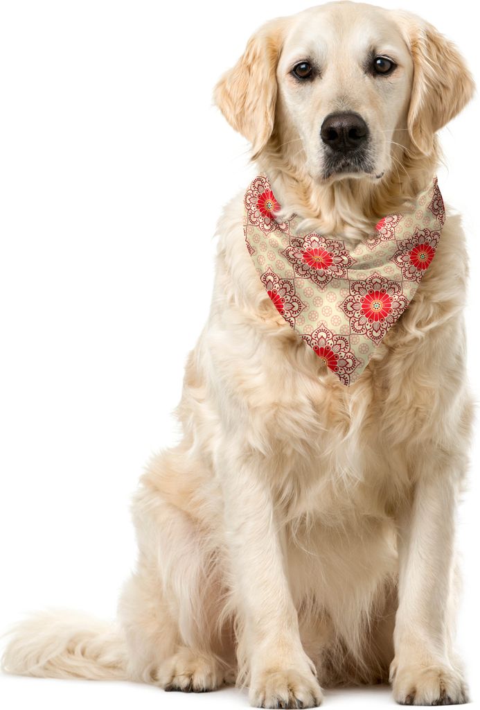 ABAKUHAUS Ethnisch Haustier Bandana, Blühende Mandala Blumen, 40x40 cm, Rubin Beige Dunkel Coral