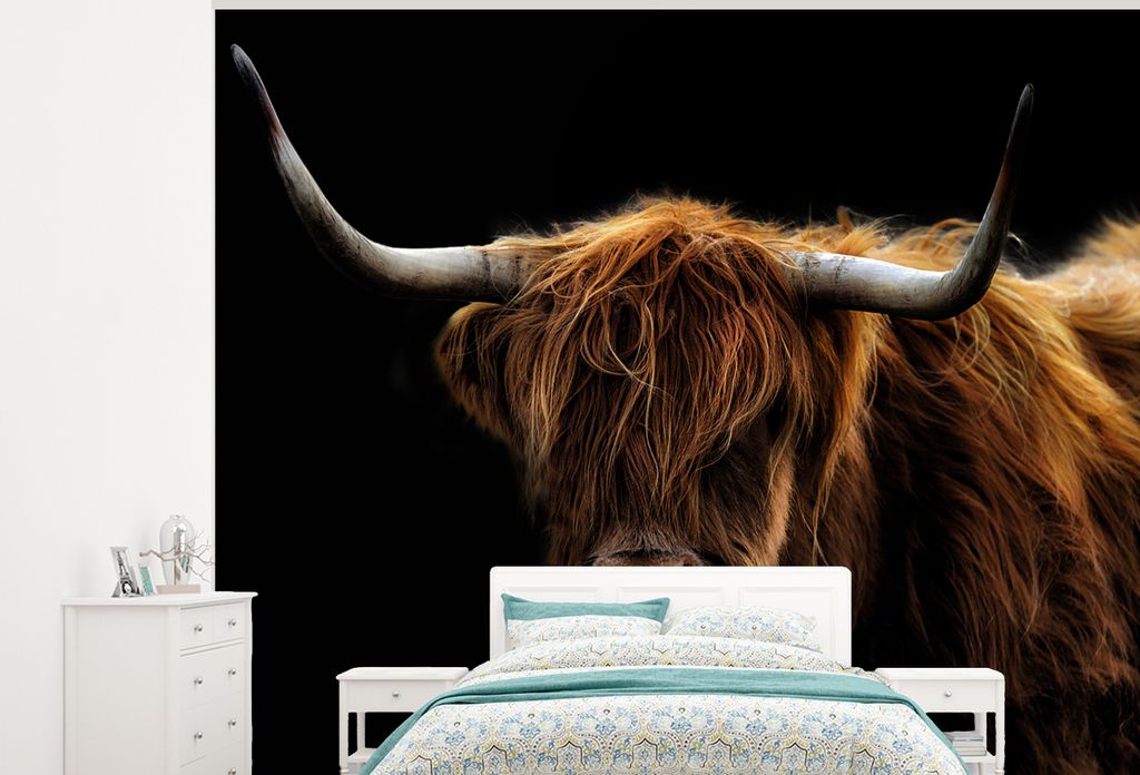 MuchoWow Fototapete für Wohnzimmer oder Schlafzimmer Wandtapete Vinyl Motivtapete Schottischer Highlander - Hörner - Schwarz - Tiere - Natur - ...