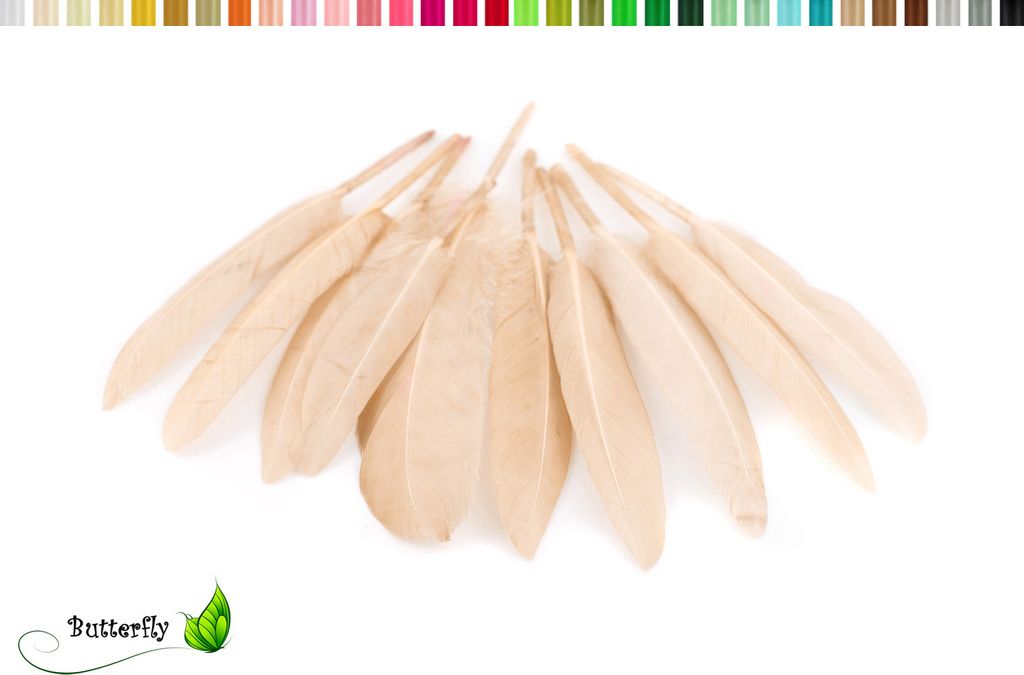 10 Entenfedern ca. 10-15cm, Farbauswahl:apricot 714