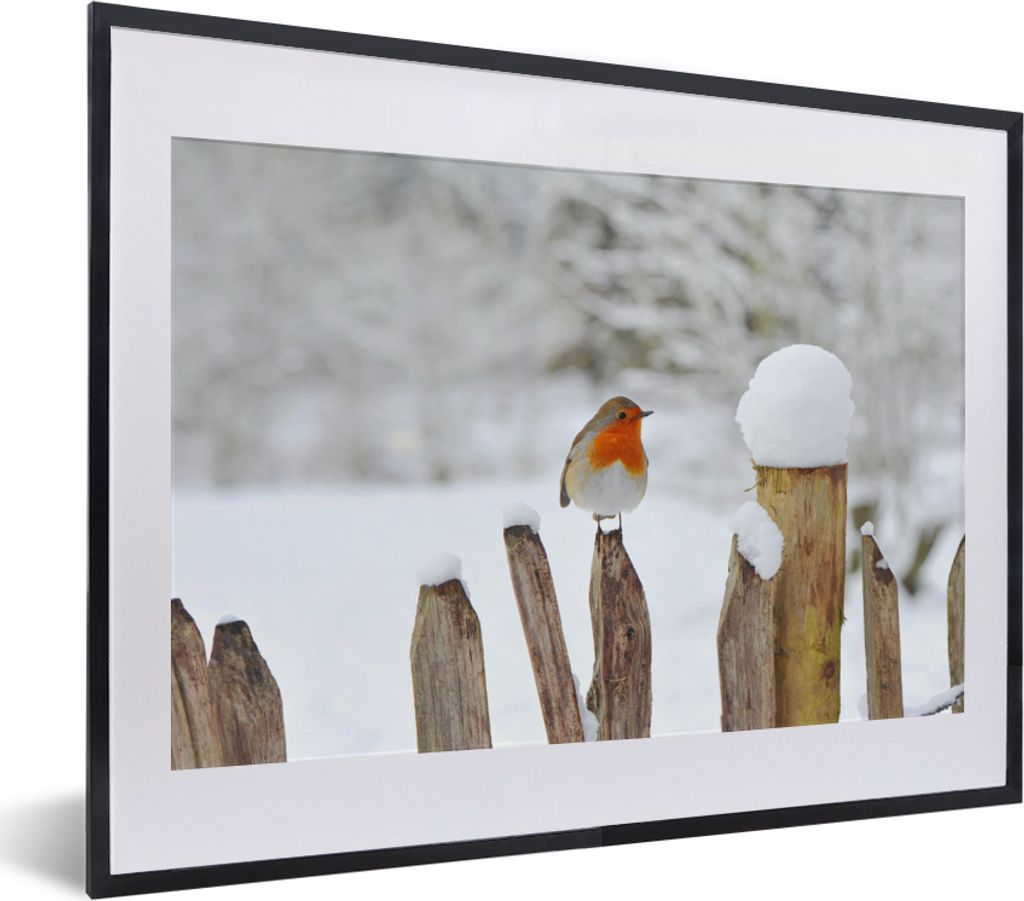 MuchoWow MuchoWow Gerahmtes Poster Vogel - Zaun - Schnee 40x30 cm - Poster mit zchwarzem Bilderrahmen - Bilderrahmen - Poster im Rahmen