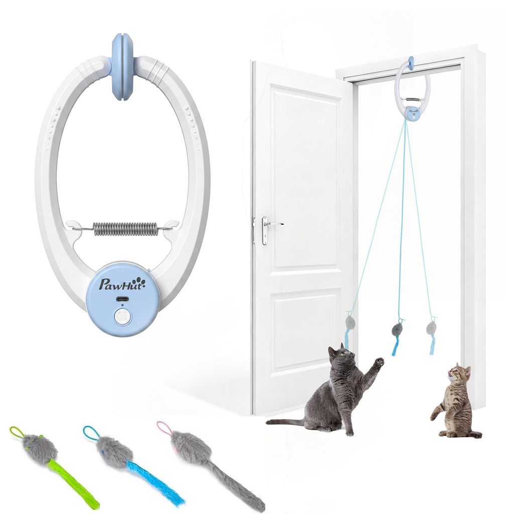 PawHut Interaktives Katzenspielzeug Intelligenzspielzeug Produktbild 