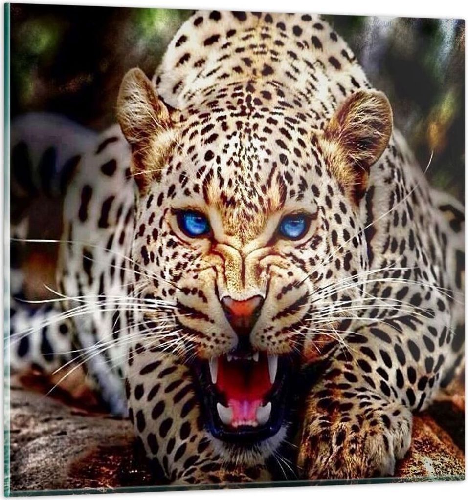 Bilder auf glas - Panther Tier - 50x50cm - Glasbilder - Wandbilder - Bilder - Kunstdruck - zum Aufhängen bereit - Wanddekoration aus Glas - Glas B...