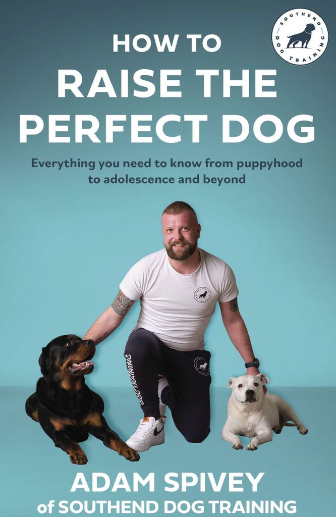 Wie man den perfekten Hund erzieht