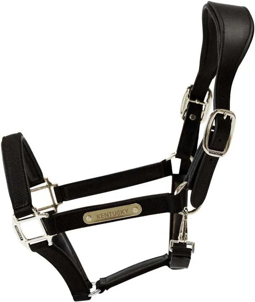 Licol Kentucky Horsewear Full Noir pour Confort Quotidien à l'Écurie