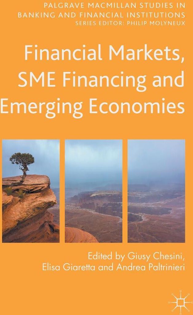 Financial Markets, SME Financing and Emerging Economies