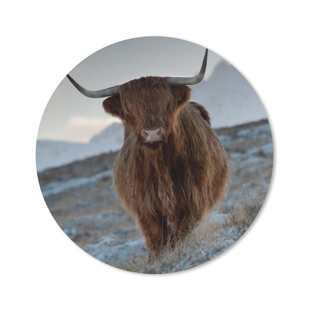 MuchoWow Mauspad Mousepad Schottischer Hochländer - Landschaft - Schottland 50x50 cm - Mousepads - Maus Mat - Pad - Mausunterlage - Vinyl