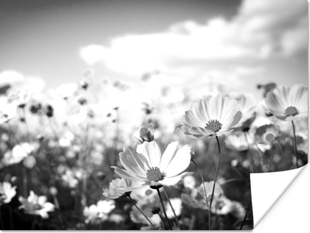 MuchoWow Poster Blumen - Wiese - Lila - Gras - Weiß - Wolken - Blau 120x90 cm - Wandbild