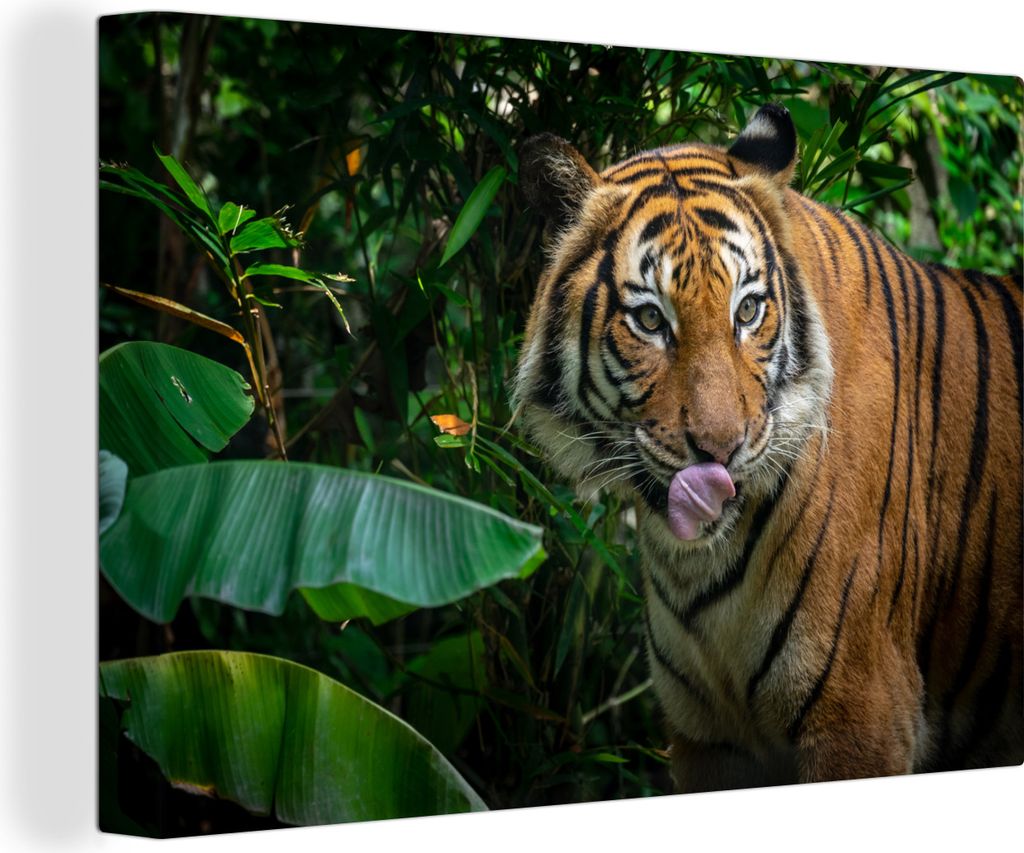 OneMillionCanvasses - Leinwandbilder - 140x90 cm, Tiere - Tropisch - Tiger, Wandbilder Kunstdruck Wanddekoration
