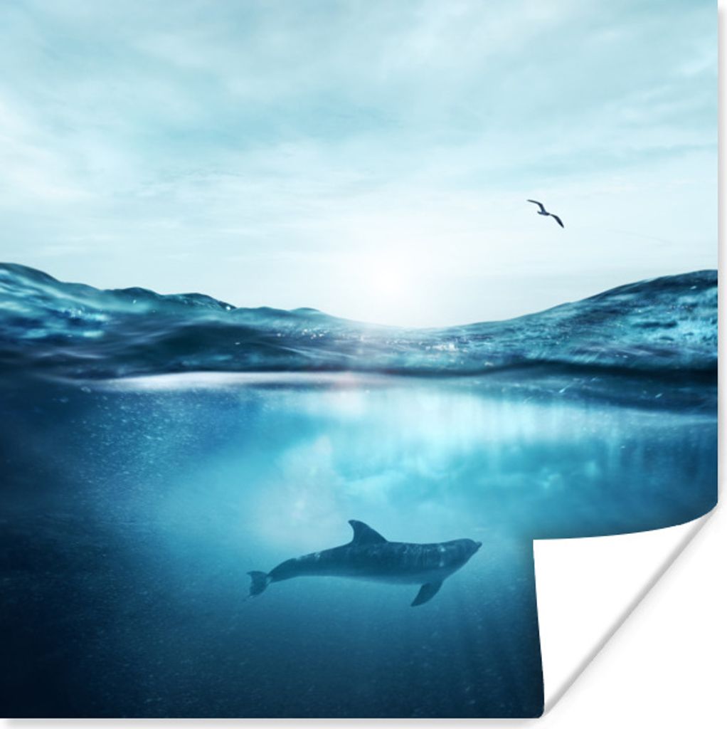 MuchoWow Poster Delfin - Meer - Vogel 75x75 cm - Wand Dekoration