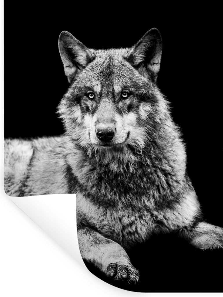 MuchoWow Wandtattoo Wandsticker Wandaufkleber Wildlife - Wolf - Schwarz - Weiß 90x120 cm Selbstklebend und Repositionierbar - Faltenfrei