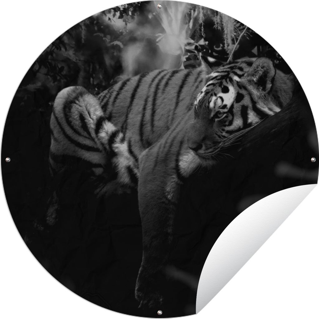 MuchoWow Gartenposter Outdoor-Poster Rund Tiere - Tiger - Dschungel - Schwarz - Weiß Ø 150 cm Gartendeko Rundes Poster draußen