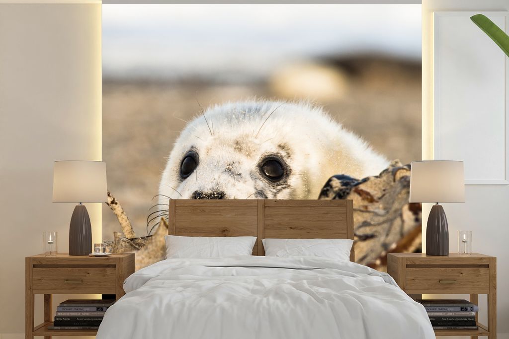 MuchoWow Fototapete für Wohnzimmer oder Schlafzimmer Wandtapete Vinyl Motivtapete Robbe hinter Sandhügeln versteckt - 240x240 cm - Schlafzimmer...